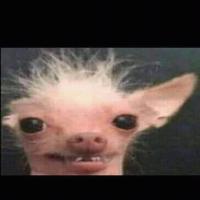 Perfil de Acilino