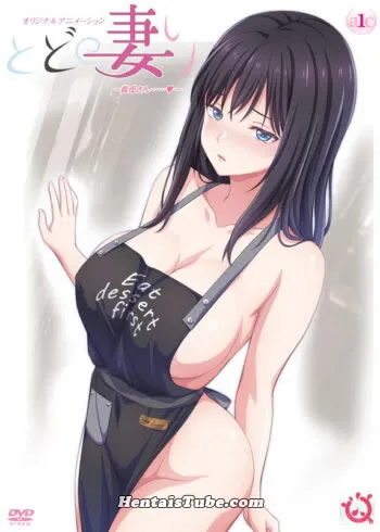 Assistir hentai Todo no Tsumari